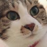 ゆず's profile picture