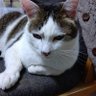 ひーさん profil fotoğrafı
