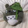Profilbild von Zee Yuen