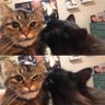 飞飞 profil fotoğrafı