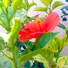 أُم الحلوات profil fotoğrafı