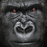 Profilbild von Gurj1