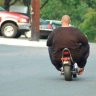Mr Moped 1979's profile picture