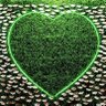 Kalai |芸術| கலை 💚 🕊️ 的头像