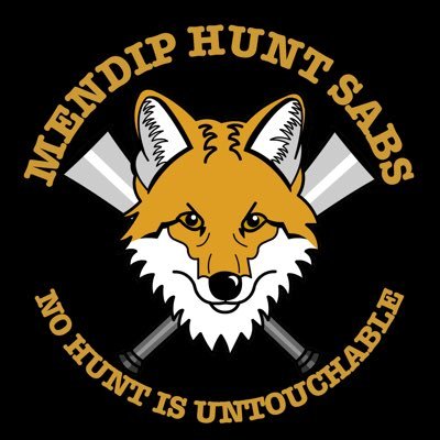 mendiphuntsabs's profile picture