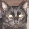 Profilbild von koray