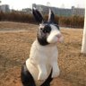 Dream sweet dreaM's profile picture