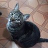 eu profil fotoğrafı