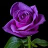 Фото профиля مريم