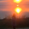 Tatyana🌻🇺🇦's profile picture