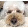凪-nagi⭐️ミンホ🌏Resting profil fotoğrafı
