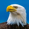 Konservativ_DasGuteBewahren's profile picture