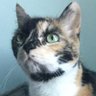 WritingNaturally's profile picture