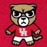Фото профиля Bear Houston
