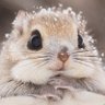 またたび猫ฅ^•ω•^ฅ 的头像