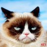 Grumpy🇵🇪 的头像
