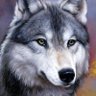 Диссидент's profile picture