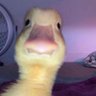 Maria's profile picture
