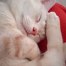 おひさま profil fotoğrafı