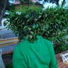 Un Yope mรกs.'s profile picture