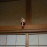 ミート にく's profile picture