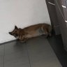 ผู้นำโง่เราจะตายกันหมด 的头像