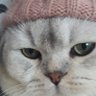 Mea's profile picture