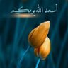 M. khalifa's profile picture