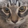Moana Yeta profil fotoğrafı