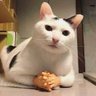 Ângelo's profile picture