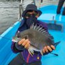 🇯🇵minifish_fish🇯🇵 profil fotoğrafı