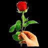 د ثائر حامد الوطني 的头像