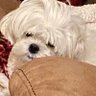 Profilbild von Emmie