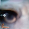 Ronald A. Elkins's profile picture