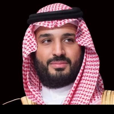 هوامير الصحراء  vip's profile picture