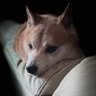 Guruu_G profil fotoğrafı