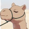 Camel Orb's profile picture