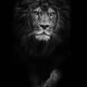 هِنآ profil fotoğrafı