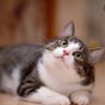 Mas255 profil fotoğrafı