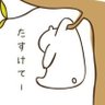 むぎゅむ's profile picture