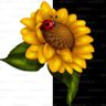 🌻Wendy🌻's profile picture