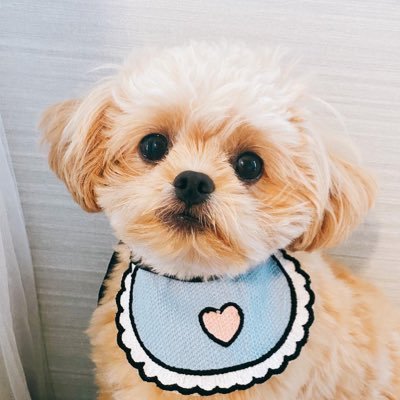 ganmo926_'s profile picture