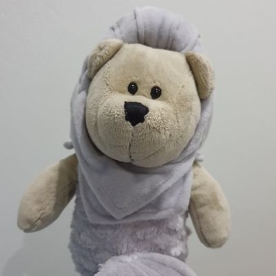 เมอไลอ้อน's profile picture