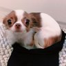 Jakemiesterr 的头像