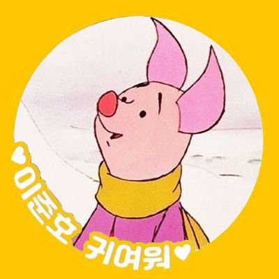 테디 TEDDY's profile picture