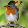 Фото профиля A little bird told me🐦