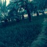 حمود عبدالله profil fotoğrafı