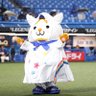 Profilbild von こーゆー★横浜進化