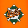 Diamond Vols's profile picture