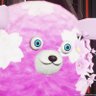 アフロダイB🐰【公式】's profile picture